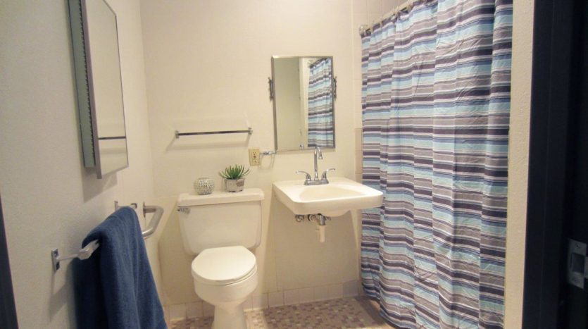 Arrowhead Apartments in Brookings, SD - Bathroom