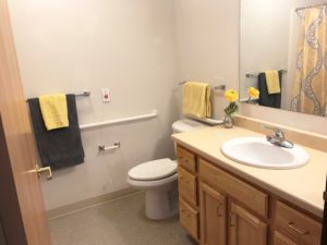 Pheasant Run Apartments in Brookings, SD - Bathroom