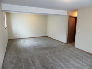 114 Brody Ave in Volga, SD - Downstairs Living Area