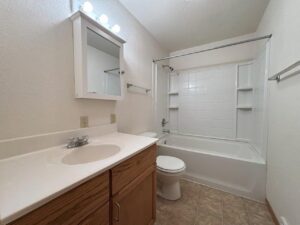 721 14th Avenue in Brookings, SD - Bathroom View 1