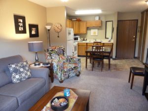 Sunchase Apartments in Brookings, SD - Living Room