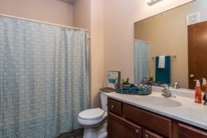 Mills Ridge Apartments in Brookings, SD - Style C Bathroom