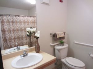 Pheasant Run Apartments in Brookings, SD - Alternative Bathroom