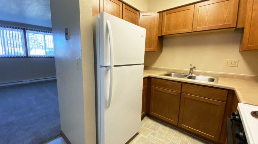Madison Arms Apartments in Madison, SD - Kitchen 3