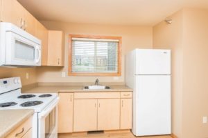 Campus Tech Apartments in Mitchell, SD - Fridge