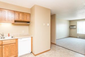 Campus View Apartments in Brookings, SD - Dishwasher