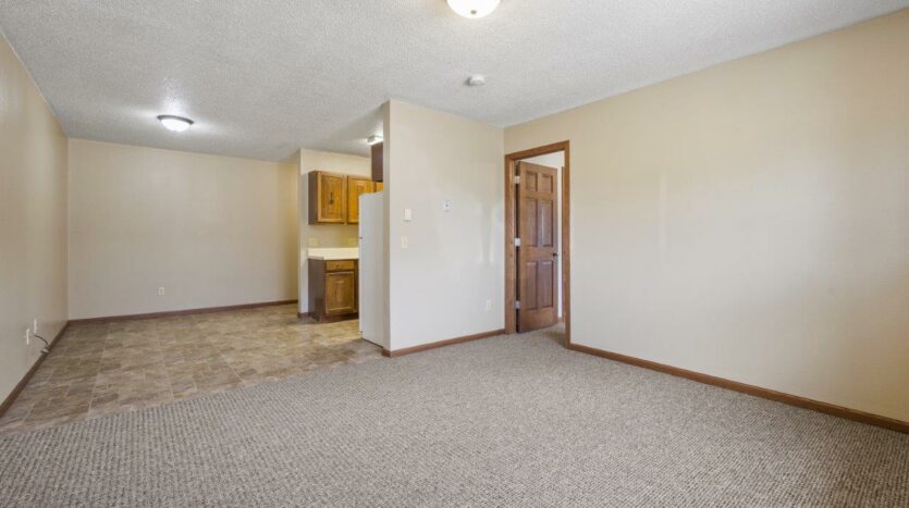 Lake Area Apartments in Watertown, SD - 1 Bedroom Living Room View 4
