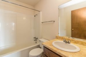 Lake Area Apartments in Watertown, SD - bathroom