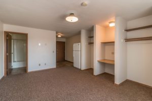 Lake Area Apartments in Watertown, SD - living space toward kitchen