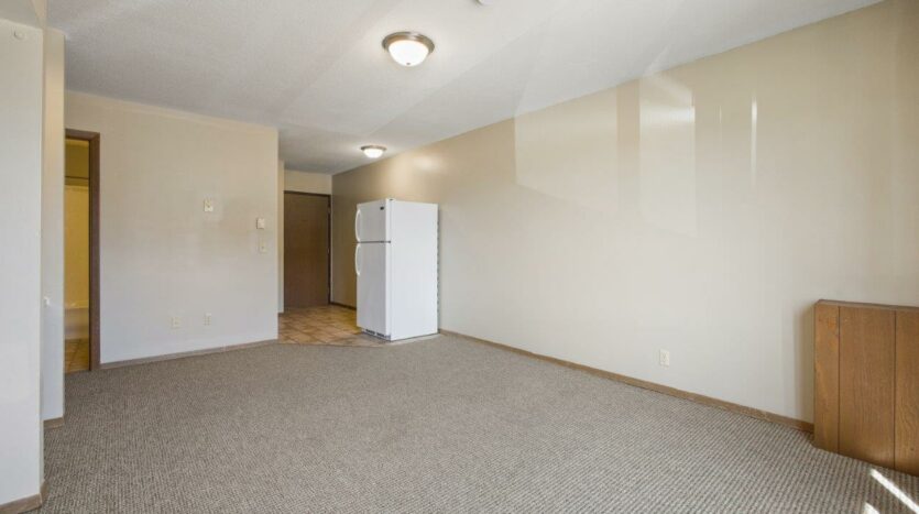 Lake Area Apartments in Watertown, SD - Studio Living Area View 2