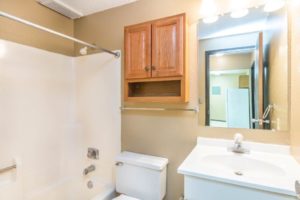 Village Square Apartments in Brookings, SD - Bathroom with Recent Updates