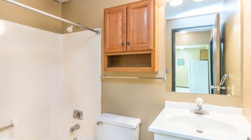 Village Square Apartments in Brookings, SD - Bathroom with Recent Updates