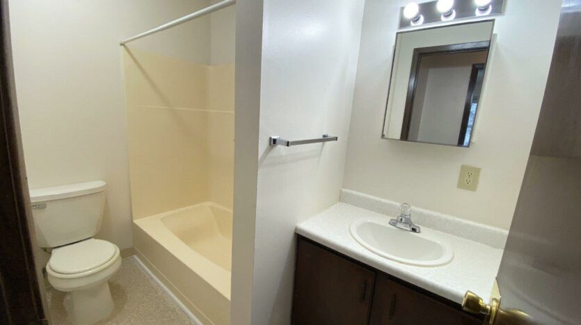 Palace Apartments & Townhomes in Mitchell, SD - 1 Bedroom Apartment Bathroom