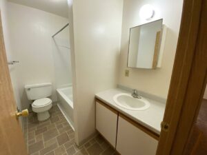 Palace Apartments & Townhomes in Mitchell, SD - 2 Bedroom Townhome Bathroom