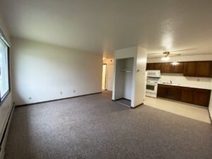 Palace Apartments & Townhomes in Mitchell, SD - 1 Bedroom Apartment Living Area