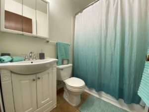 Village Pointe Apartments in Mitchell, SD - Staged Unit Bathroom
