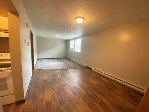 Prairie Circle Apartments in Brookings, SD - Lower Level Apartment Living Area