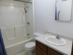 Diamond Acres in Bridgewater, SD - Bathroom
