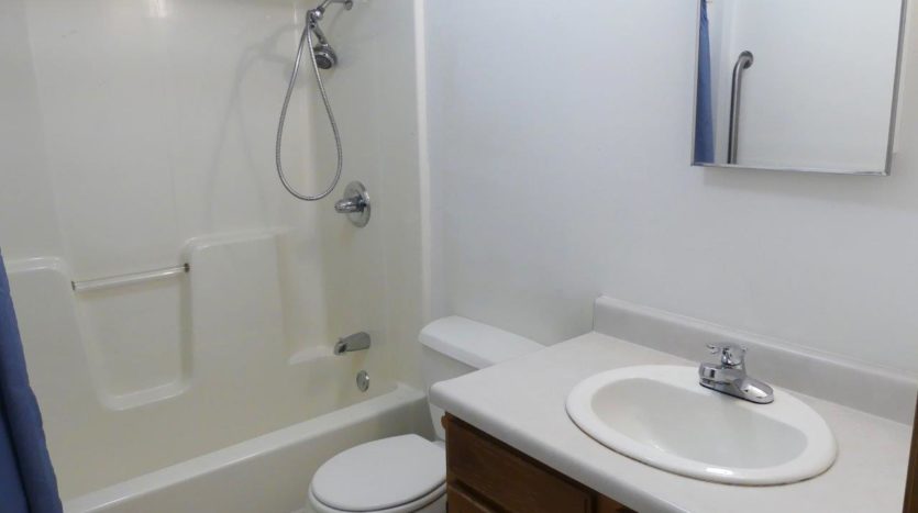 Diamond Acres in Bridgewater, SD - Bathroom