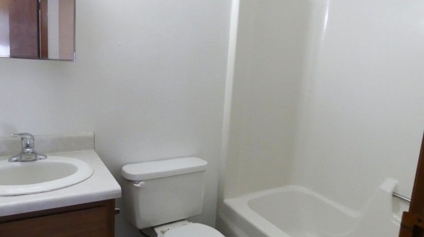 Southtown Apartments in Salem, SD - Bathroom