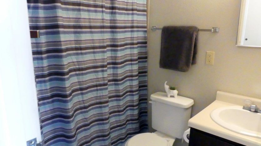 Hill Center Apartments in Salem, SD - Bathroom (One Bedroom Apartment)