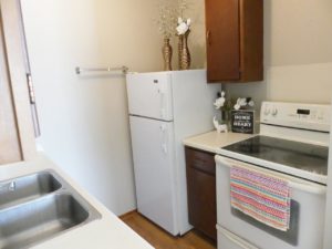 Hill Center Apartments in Salem, SD - Kitchen (One Bedroom Apartment)