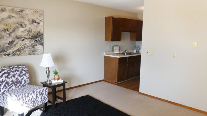Hill Center Apartments in Salem, SD - Living Room/Kitchen (One Bedroom Apartment)