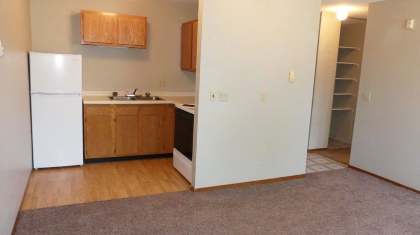Hill Center Apartments in Salem, SD - Living Area/Kitchen (Studio Apartment)