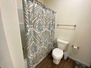 Lake Area Townhomes Phase IIB in Madison, SD - 1 Bedroom Bathroom Bathtub and Shower