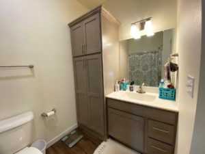 Lake Area Townhomes Phase IIB in Madison, SD - 1 Bedroom Bathroom