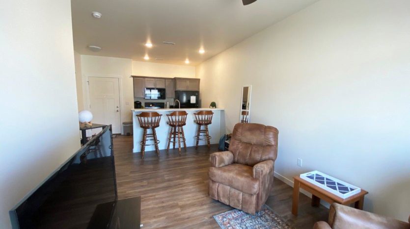 Lake Area Townhomes Phase IIB in Madison, SD - 1 Bedroom Living Area Overview