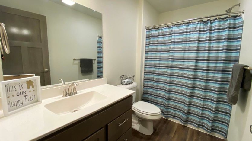 Lake Area Townhomes Phase IIB in Madison, SD - 2 Bedroom Guest Bath
