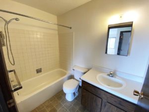 Applecrest Apartments in Big Stone City, SD - Bathroom