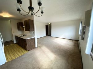 Applecrest Apartments in Big Stone City, SD - Living Area 1