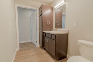Fox Run Townhomes in Yankton, SD - 2 Bed Lower Level Bathroom Vanity