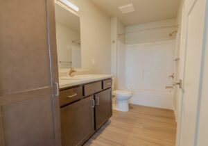 Fox Run Townhomes in Yankton, SD - 2 Bed Lower Level Bathroom