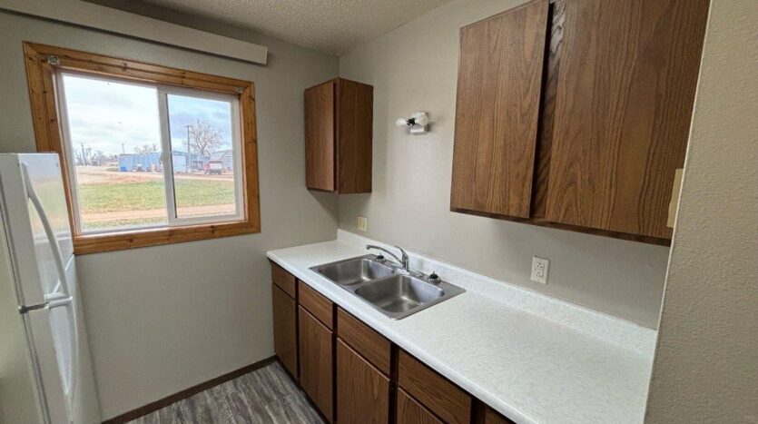 Deuel Manor Apartments in Astoria, SD - Kitchen View 2