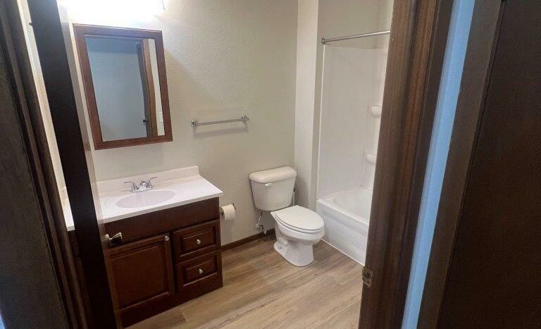 SuRa Apartments in Lake Preston, SD - Bathroom