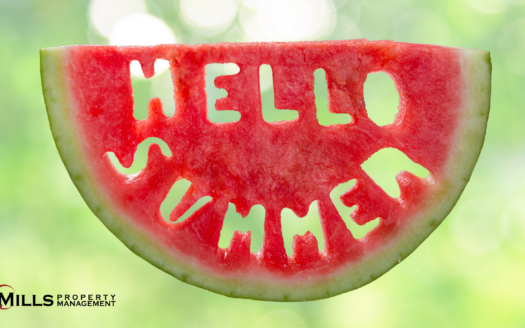 Hello, Summer: Let's Dive into the Sunshine!