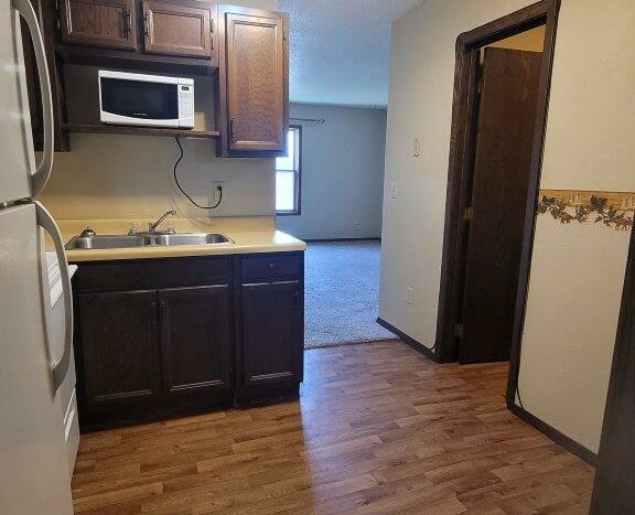 Paulson Apartments in Clear Lake, SD - Kitchen View 2