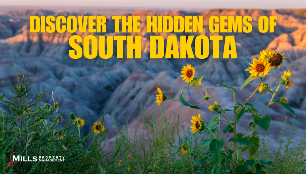 hidden gems of south dakota - website article