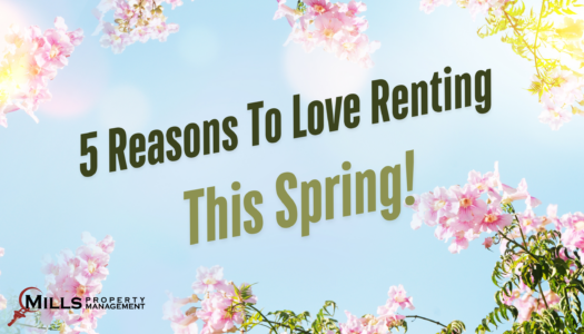 5 reasons to live renting this spring - website article
