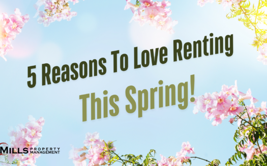 5 reasons to live renting this spring - website article