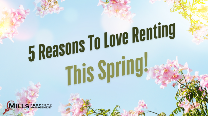 5 reasons to live renting this spring - website article