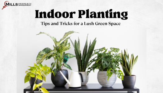 indoor planting tip and tricks website article
