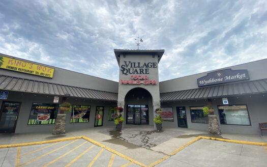 The Village Square Malls